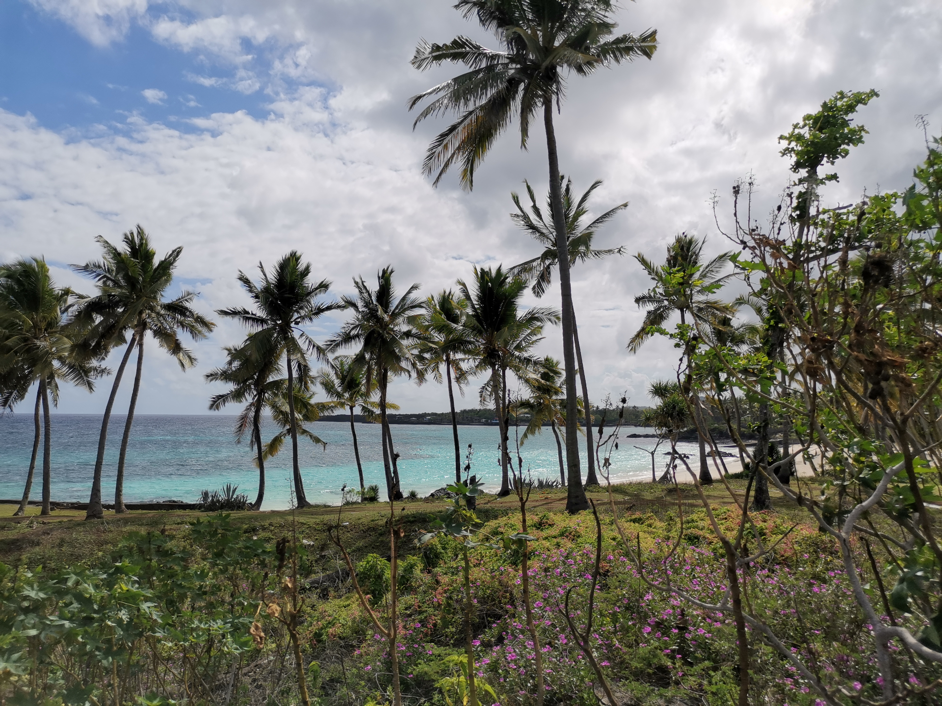 Littoral comorien et cocotiers sur eau turquoise