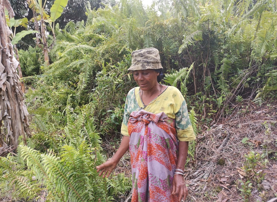 Productrice en parcelle agricole comorienne